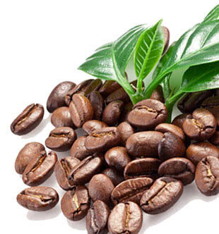ungrilled-coffee-bean ungrilled-coffee-bean